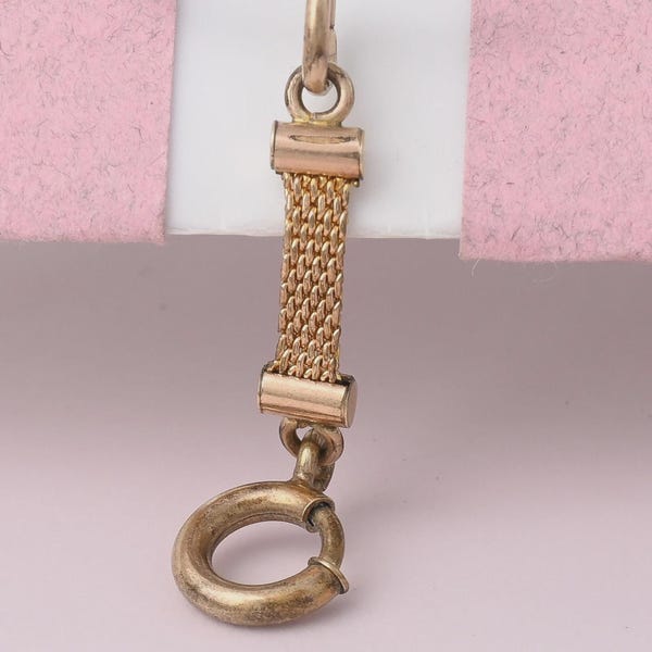 Antique Victorian Rose Gold Filled Mesh Extender Dog Clip Pendant