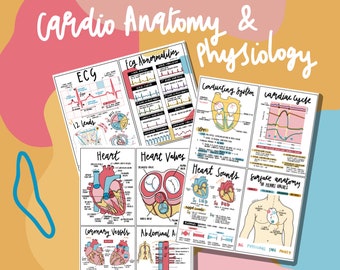 Cardiac Anatomy & Physiology Flashcards (PDF)