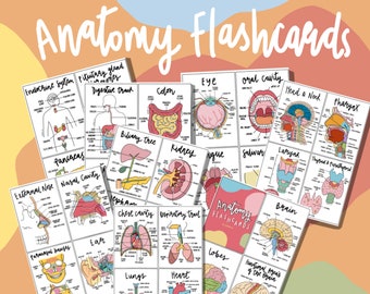 Complete Anatomy Flashcards (PDF)