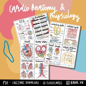 Flashcards d'anatomie et de physiologie cardiaques (PDF)