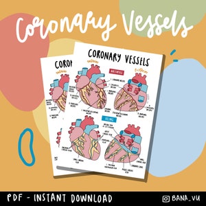 Coronary Vessels Poster (PDF)