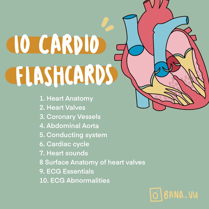 Cardiac Anatomy &amp; Physiology Flashcards PDF Etsy