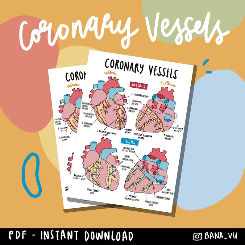 PDF Coronary Vessels Poster