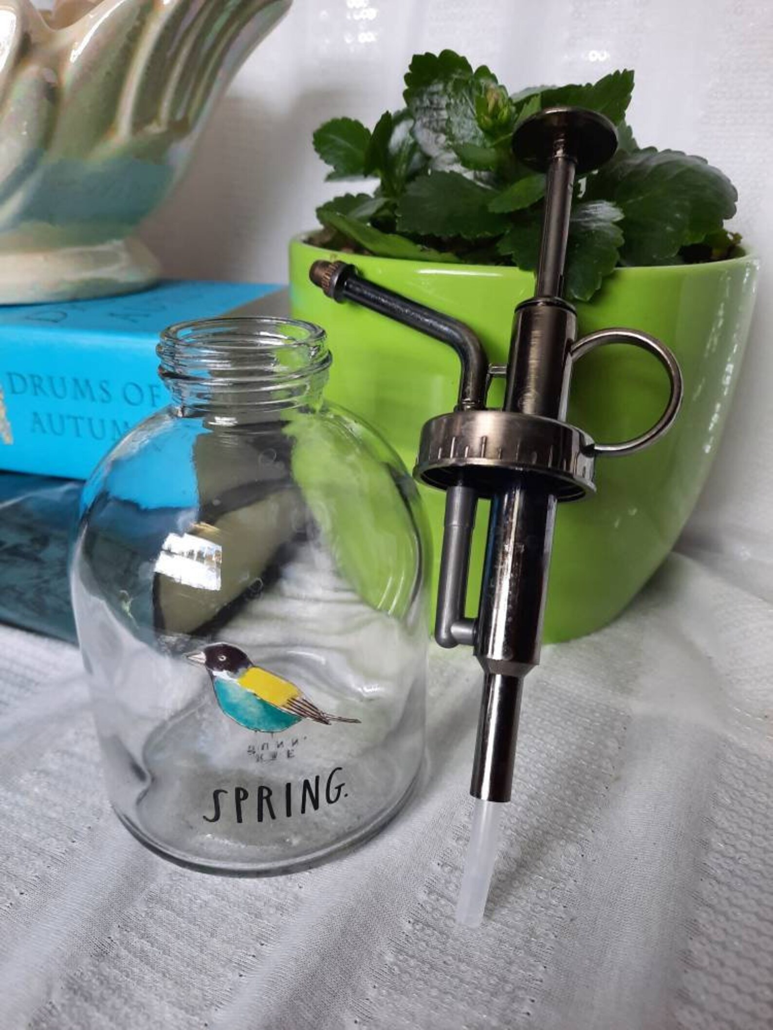 Spring plant mister clear glass spritzer indoor plant Etsy