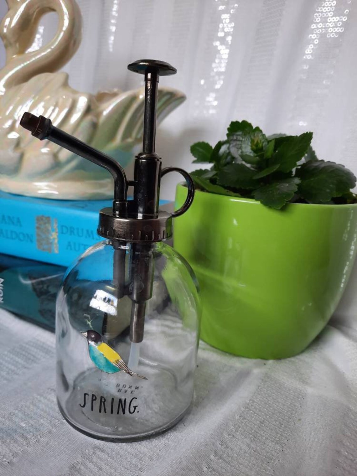 Spring plant mister clear glass spritzer indoor plant Etsy