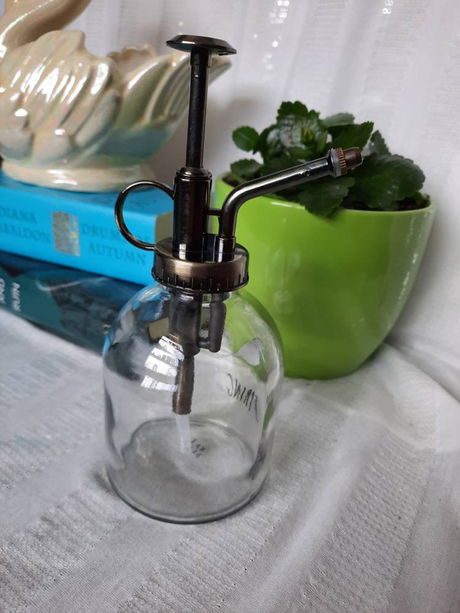 Spring plant mister clear glass spritzer indoor plant Etsy