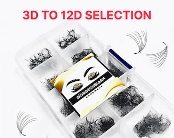 1000 abanicos de pestañas prefabricados para volumen, extensiones de pestañas hechas a mano 3D-12D