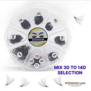 Wide 1000 Mixed Lash Fans 12D, 10D, 8D, 7D, 6D, 5D, 4D, 3D, 0.05-0.07mm thickness, Handmade Eyelash Extensions.