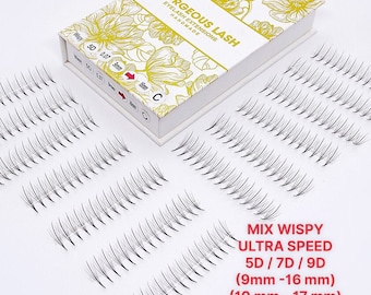 Wispy, Mixed Ultra Speed 5D, 7D, 9D Spike Lashes. 1000 Premade Lash Fans