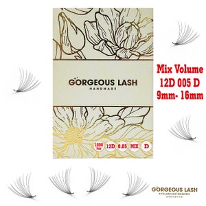 XXL Tray 12D Lashes, 1000 Mixed Premade on Tray Fans, Eyelashes Extensions, Handmade!