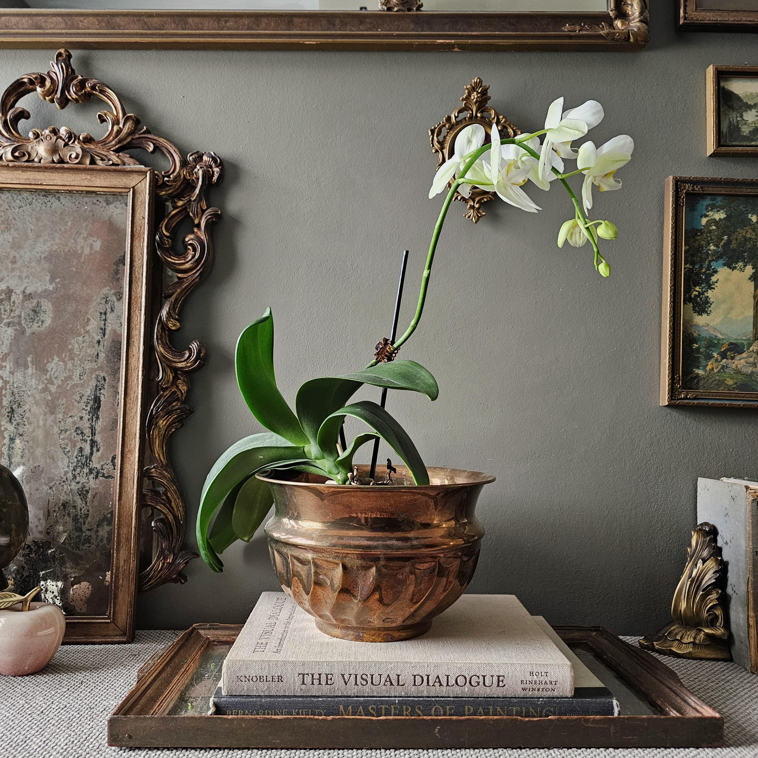 Vintage Planters - Etsy Canada