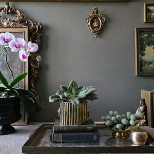 May include: A brass fluted planter with lion head handles sits atop two stacked dark books on a rectangular mirrored tray. Beside it, a bowl of green stone grapes and a brass apple ornament are arranged on the tray surface.