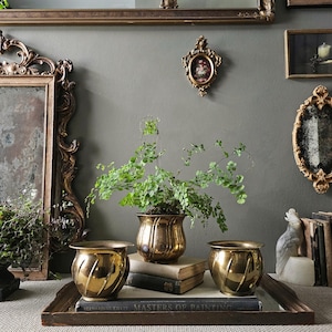 Peut inclure: Trois jardinières en métal doré avec un motif tourbillonnant, contenant des plantes vertes, sont posées sur un plateau en bois avec des livres. Les jardinières sont devant un mur gris avec des miroirs et des œuvres d'art encadrés.