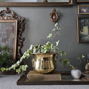 May include: A gold-coloured, ornate planter filled with green ivy sits on a stack of books. The planter has a detailed design and is placed on a wooden tray. Decorative mirrors and framed art pieces are in the background.
