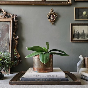 May include: A copper planter with a green plant sits on books, including "THE VISUAL DIALOGUE" and "MASTERS OF PAINTING." The arrangement is on a tray, with ornate framed mirrors and artwork in the background, creating a vintage aesthetic.