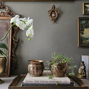 May include: Two brass planters with vertical fluted detailing sit on a stack of two books titled The Visual Dialogue and Masters of Painting. One planter is empty, while the other contains a small green plant with trailing stems and leaves.