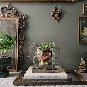 May include: A copper vessel with a pedestal base holds a trailing green plant, resting atop a stack of three hardcover books. The books include titles such as The Visual Dialogue and Masters of Painting, arranged on a dark wooden tray.