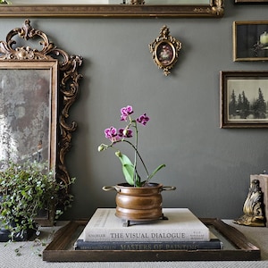 May include: A copper planter with a purple orchid sits on a stack of books. The books are titled "The Visual Dialogue" and "Masters of Painting." Ornate framed mirrors and artwork decorate the grey wall, creating a vintage aesthetic.