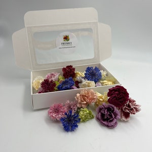 Freeze-Dried Edible Carnations & Bachelor Buttons, Natural Cake Flowers, Gourmet Edible Floral Garnish, Cookie Toppings, Cocktail Garnishes