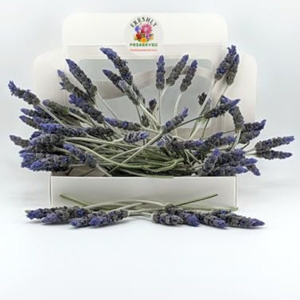 Freeze-dried Edible Lavender