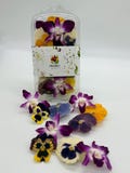Freeze-Dried Edible Pansy and Orchid Flowers
