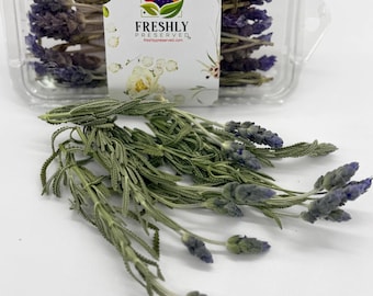 Freeze-Dried Edible Lavender