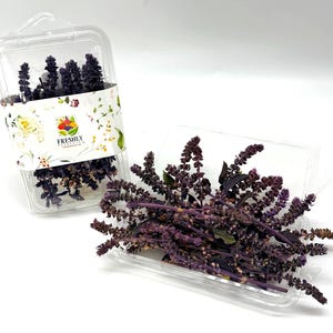 May include: Freshly harvested purple basil in clear plastic containers. One container is open, displaying the basil sprigs. The other container is sealed with a floral label and the text "FRESHLY". The basil has a vibrant purple hue.