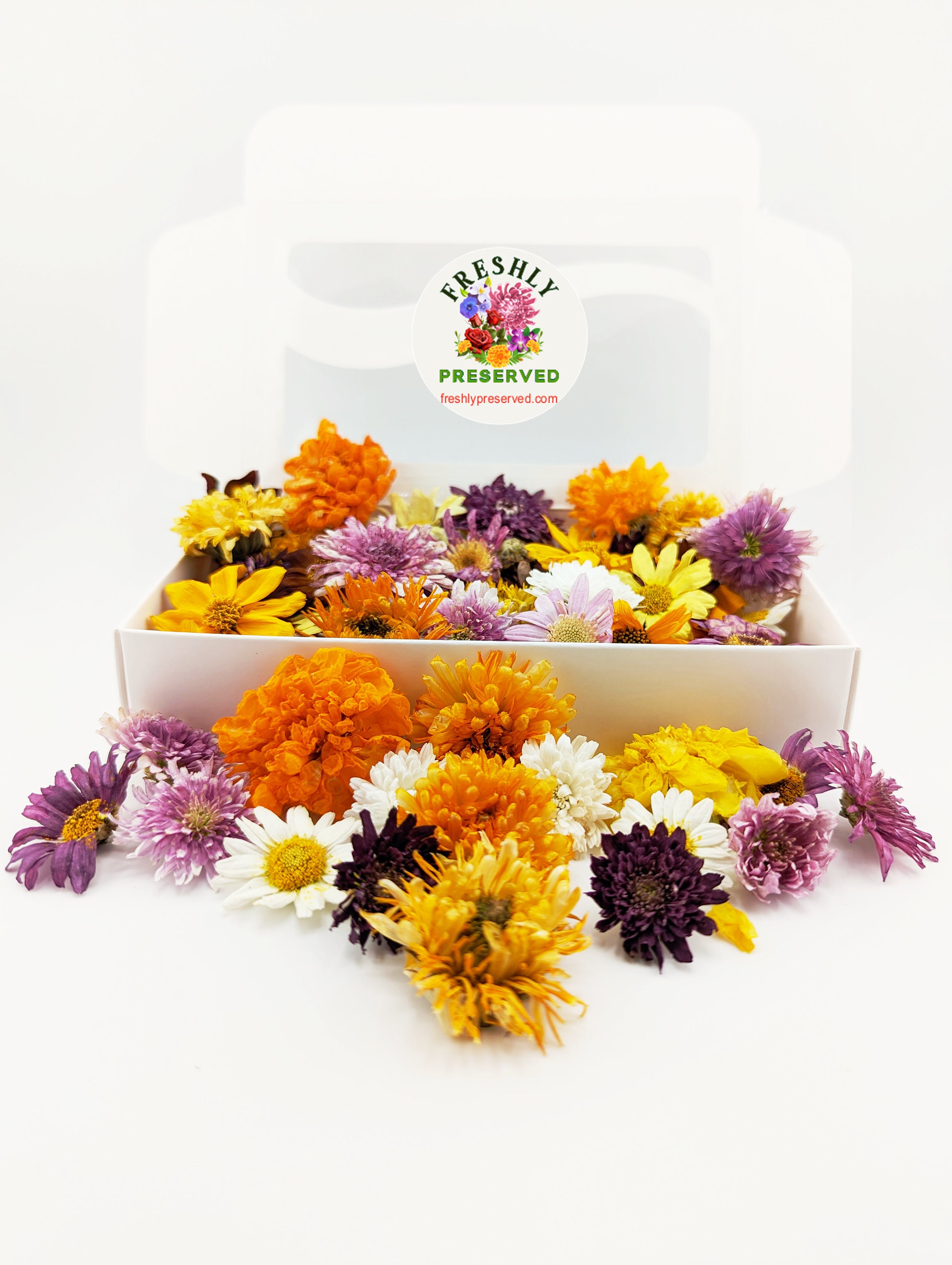 Freeze-Dried Edible Flowers (Mini Carnations and Bachelor Buttons)