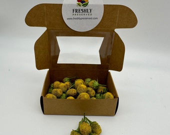 Freeze Dried Edible Buzz Button Flowers