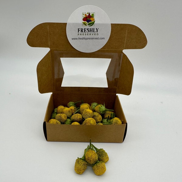 Freeze Dried Edible Buzz Button Flowers