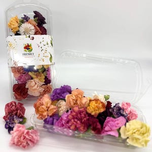 Freeze-Dried Edible Mini Carnations & Bachelor Buttons