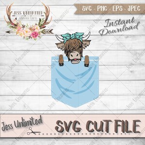 May include: A Highland cow with a blue bow peeks out of a blue pocket. The cow is brown with a white face and a pink nose. The pocket is on a white background.