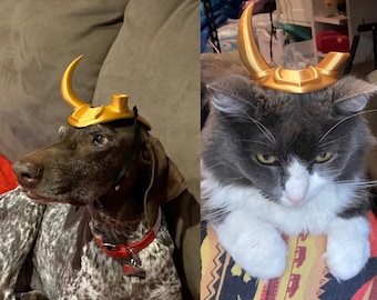 God of Mischief Variant Inspired  Crown for Dog & Cat Variants