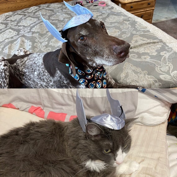 Thor dog costume outlet