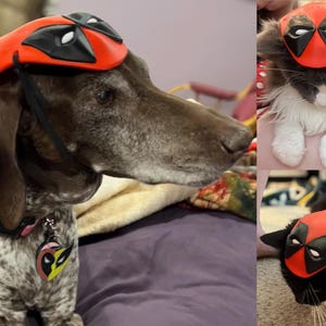 Puede incluir: Un perro marrón y blanco con una máscara de Deadpool roja y negra. El perro está sentado en una manta morada. Hay otras dos imágenes de gatos con la misma máscara.