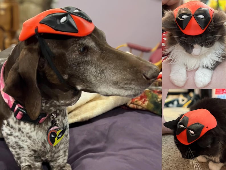 May include: A brown and white dog wearing a red and black Deadpool mask. The dog is sitting on a purple blanket. There are two other images of cats wearing the same mask.