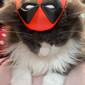 Deadpool & Dogpool Inspired Costume Mask for Dog and Cat Variants image 6