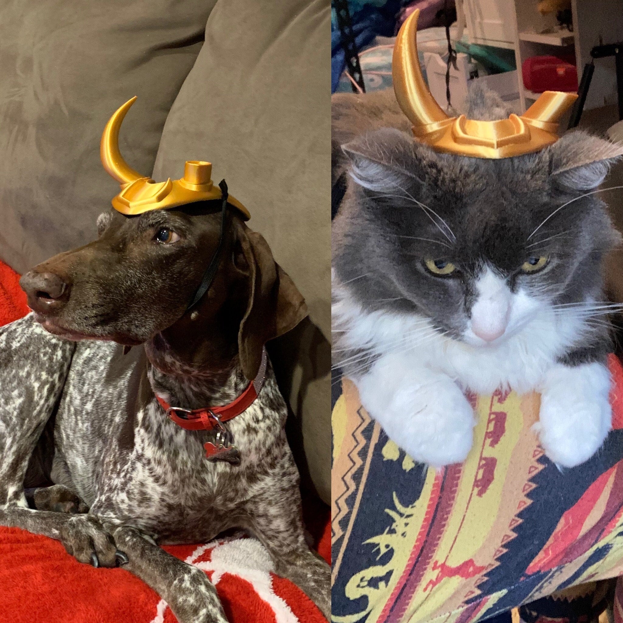 Thor outlet dog costume