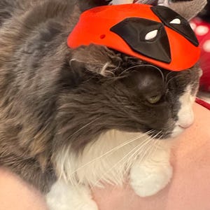 May include: A gray and white cat wearing a red Deadpool mask costume. The cat is lying on a person's lap.
