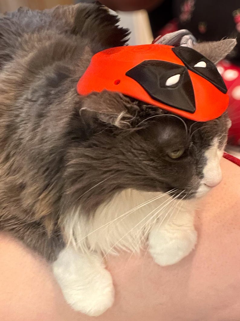 May include: A gray and white cat wearing a red Deadpool mask costume. The cat is lying on a person's lap.