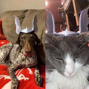God Of Thunder Inspired Helmet for Dogs & Cats