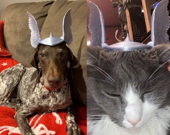 God Of Thunder Inspired Helmet for Dogs & Cats