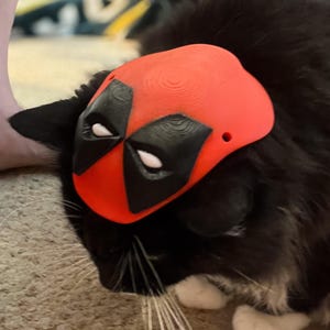 May include: A black and white cat wearing a red and black Deadpool mask. The cat is looking down and has white whiskers.