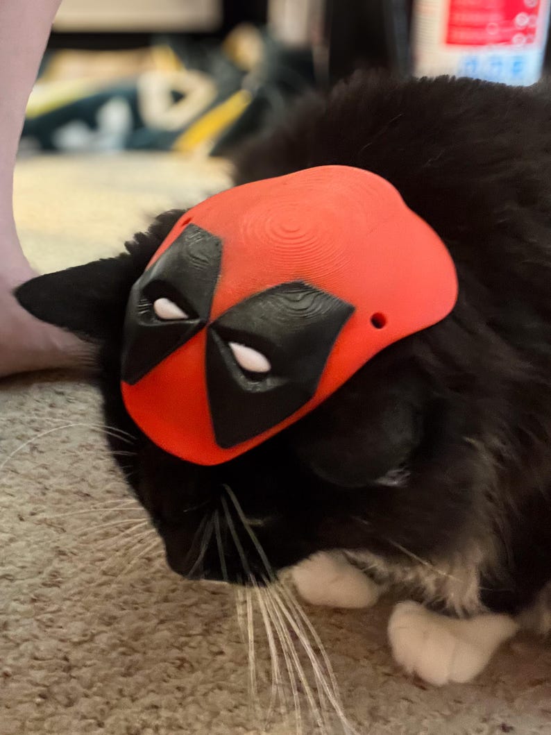 May include: A black and white cat wearing a red and black Deadpool mask. The cat is looking down and has white whiskers.