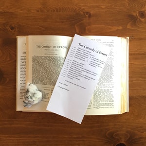May include: A close-up of a white paper with black text listing the characters in Shakespeare's play "The Comedy of Errors". The paper is lying on top of an open book with the title "The Comedy of Errors" printed on the cover.