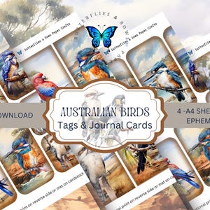 Tag e diari per uccelli australiani