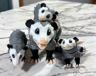 アメリカオポッサムの頭蓋骨レプリカ（博物館品質） - Etsy 日本