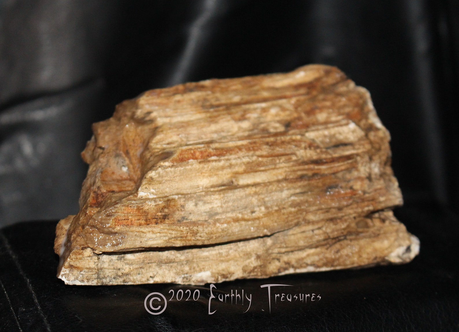 ET presents this beautiful Petrified Wood Idaho/Oregon Etsy