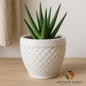 Handmade Daisydot Ceramic Planter Pot with Rim