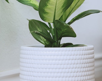 Handmade Ceramic Cylinder Planter: Modern Indoor Outdoor Plant Pot
